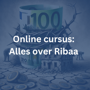 Cursus: Alles over Ribaa